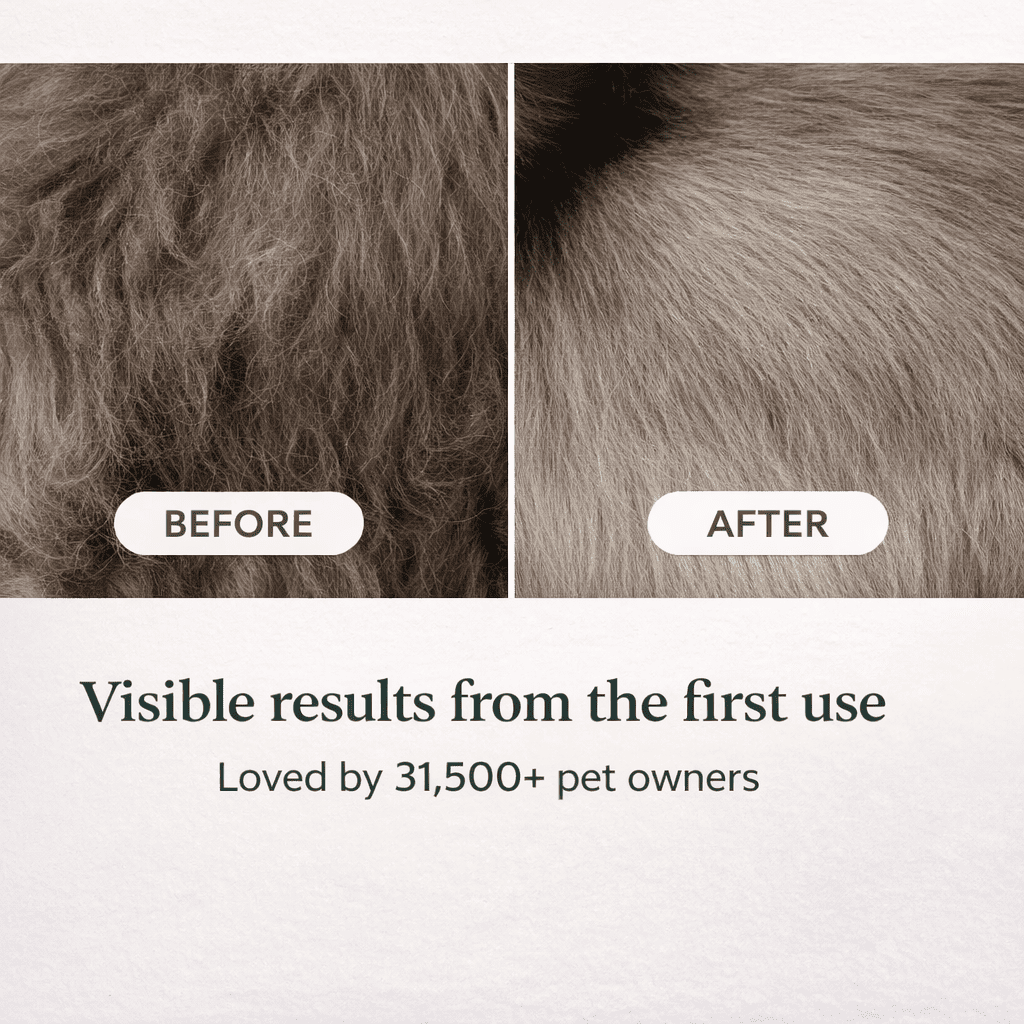 PawFresh™ Clean System - Less Hair, Cleaner Home