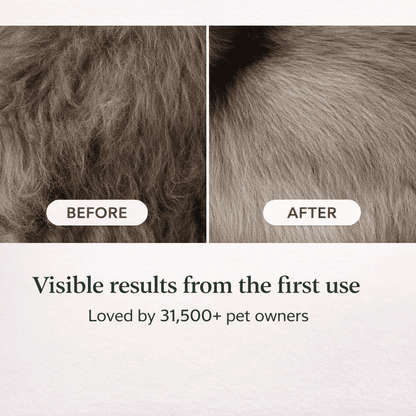 PawFresh™ Clean System - Less Hair, Cleaner Home