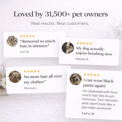 PawFresh™ Clean System - Less Hair, Cleaner Home